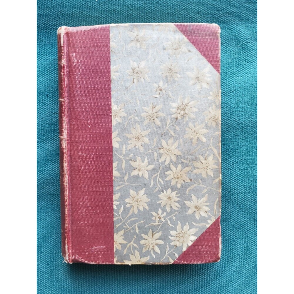 BEYOND THE CITY Arthur Conan Doyle F.M. Lupton Late 1800s Decorative Cloth